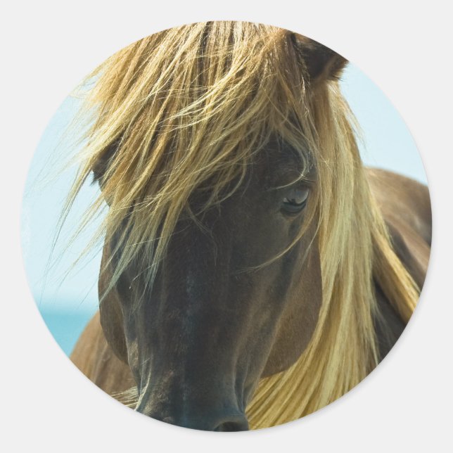 Adesivo Mustang Stickers (Frente)