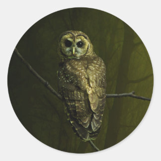 Adesivo Mystique Owl