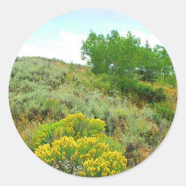 Adesivo Na colina, grande parque nacional. (Frente)