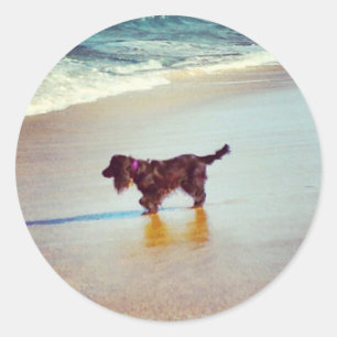 Adesivo Na praia