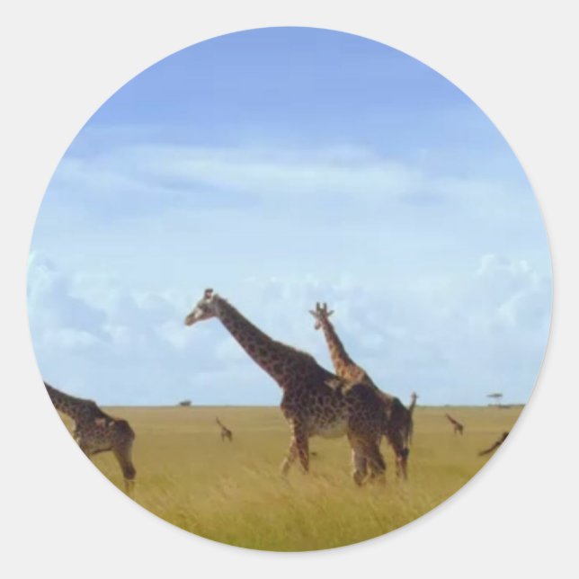 Adesivo Nairobi National Park Girafas (Frente)