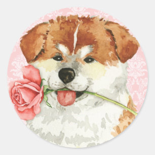 Adesivo Namorados Akita