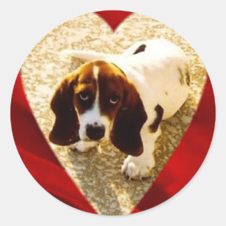 Adesivo Namorados Bassett Hound
