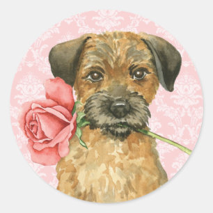 Adesivo Namorados Border Terrier