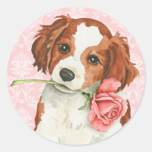Adesivo Namorados Kooiker cor-de-rosa