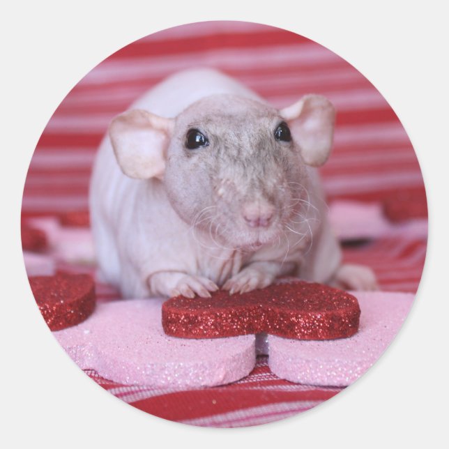 Adesivo Namorados Rat (Frente)