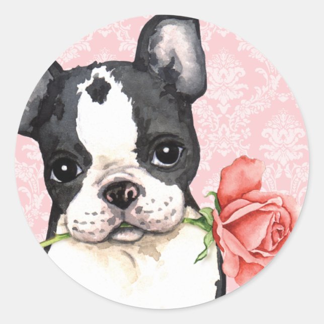 Adesivo Namorados Rosa Boston Terrier (Frente)