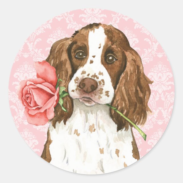 Adesivo Namorados Rosa English Springer (Frente)