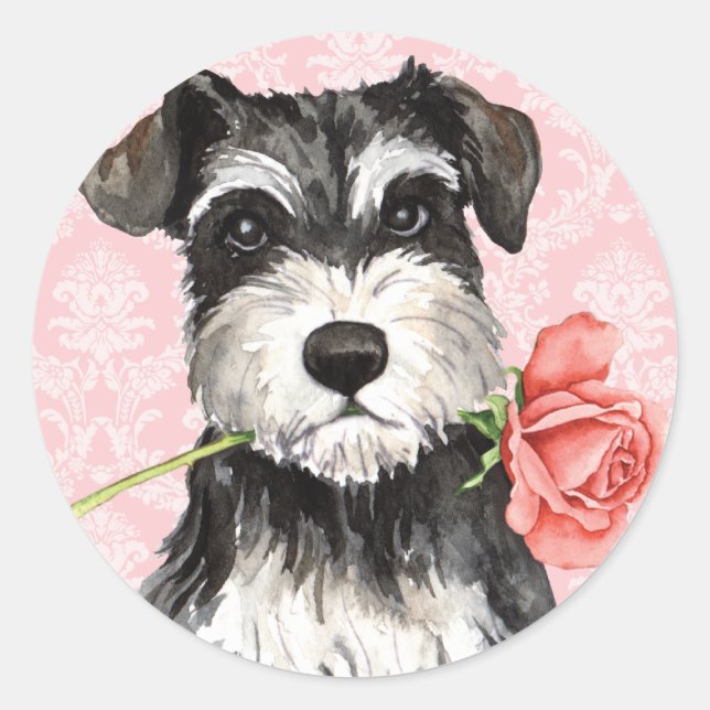Adesivo Namorados Rosa Mini Schnauzer (Frente)