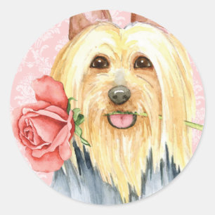 Adesivo Namorados Rosa - Vinheta redonda clássica de terri