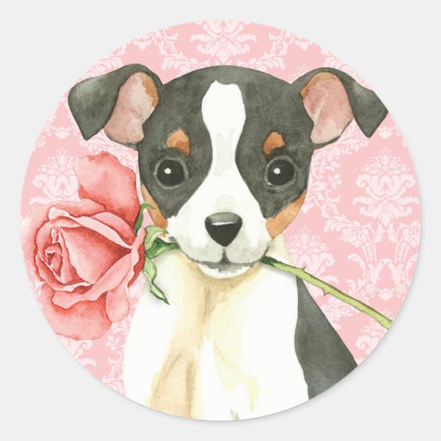 Adesivo Namorados Toy Fox Terrier (Frente)
