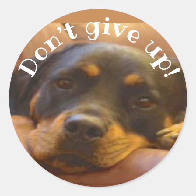 Adesivo Não desista do Rottweiler Classic Round Sticker (Frente)