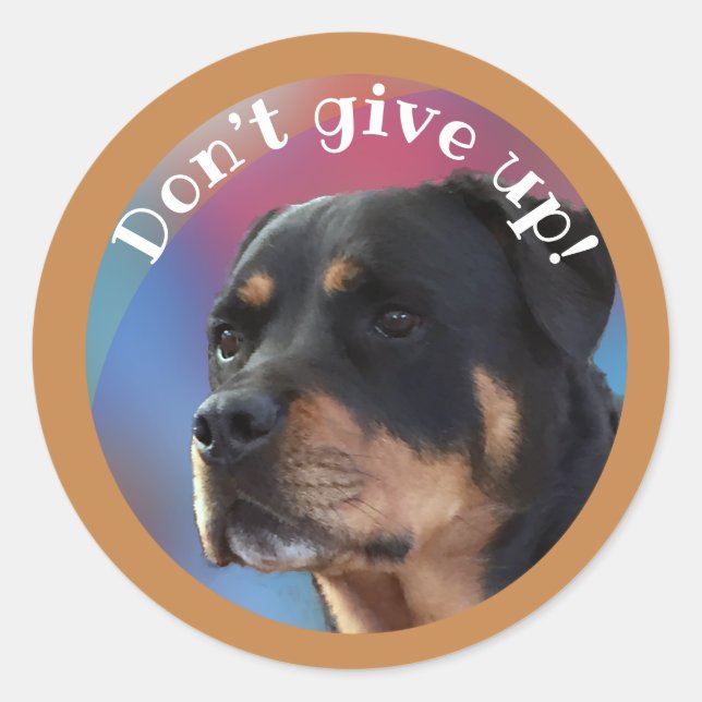 Adesivo Não desista do Rottweiler Classic Round Sticker (Frente)