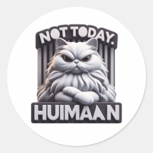 Adesivo Não Hoje, Huimaan Engraçado, Irritado, Artesanato
