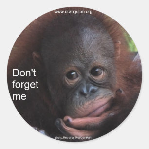 Adesivo Não me esqueça (o bebê do primata)