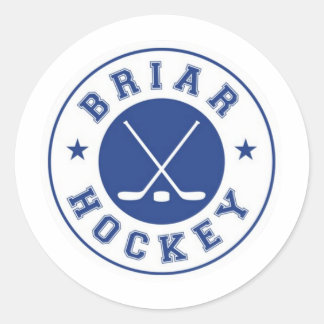Adesivo NÃO OFICIAL Briar U Hockey | Fora do Campus 