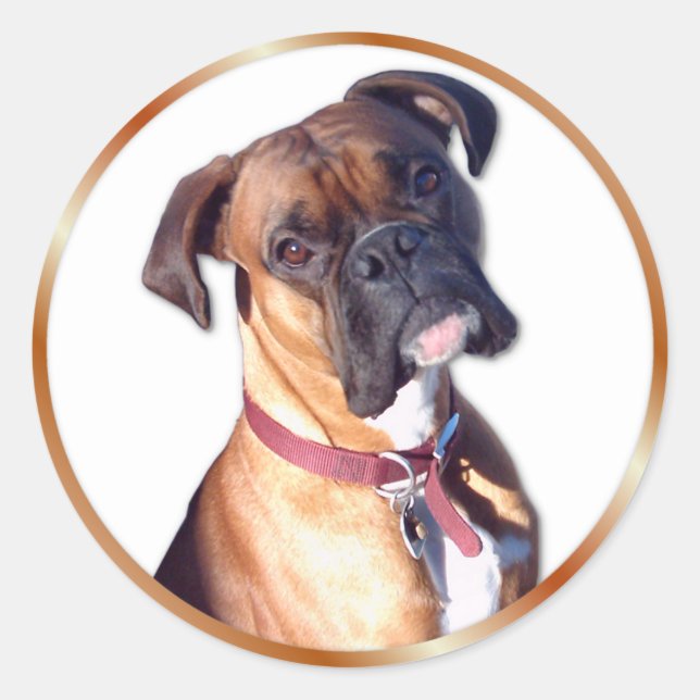 Adesivo Não vá (Frente)