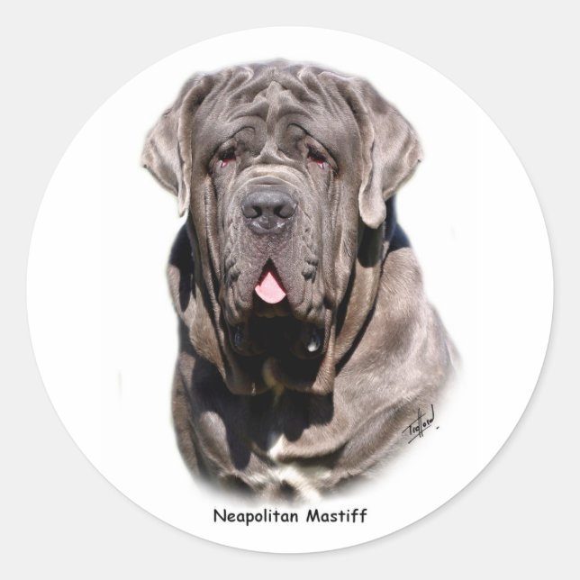 Adesivo napolitano Mastiff (Frente)