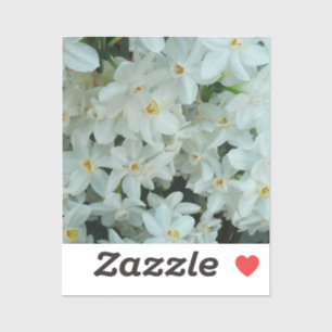 Adesivo Narciso Branco Delicado de Paperwhite Flores