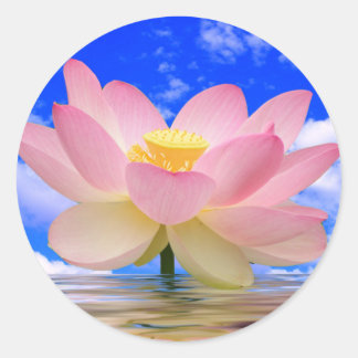 Adesivo Nascer de Flor de Lotus na Água