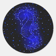 natações de cavalo marinho em luzes