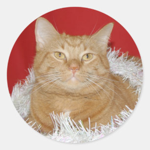 Adesivo Natal alaranjado do gato malhado