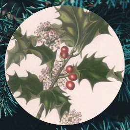 Adesivo Natal Antigo, Planta de Azevinho com Bagas Vermelh