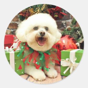 Adesivo Natal - Bichon Frise - Mori
