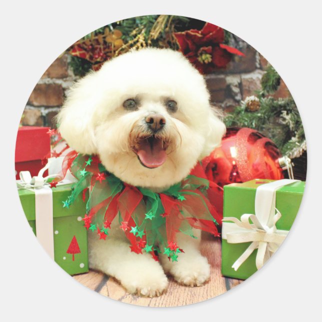 Adesivo Natal - Bichon Frise - Mori (Frente)
