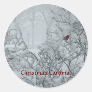 Adesivo Natal cardinal