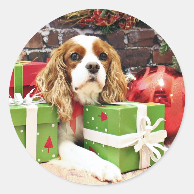Adesivo Natal - Cavalier King Charles Spaniel - Poppy (Frente)