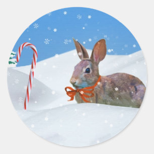 Adesivo Natal, coelho, neve, bastões de doces