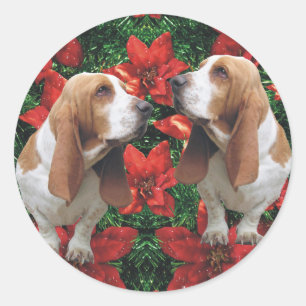 Adesivo Natal da poinsétia de Basset Hound