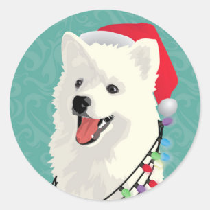 Adesivo Natal de Cachorro Cachorro Cachorro Samoyed Eskimo