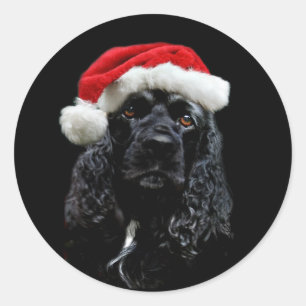 Adesivo Natal de cocker spaniel