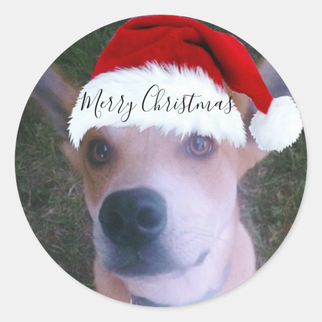Adesivo Natal de Foto de Cachorro Personalizado (Frente)