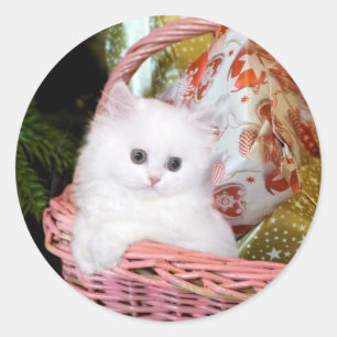 Adesivo Natal de Kitten Persa Branco