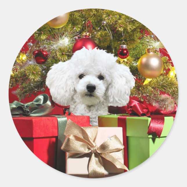 Adesivo Natal de Poodle Branco (Frente)