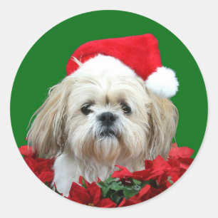 Adesivo Natal de Shih Tzu