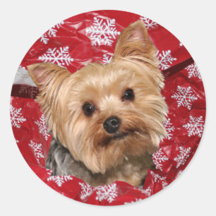 Adesivo Natal de Yorkie