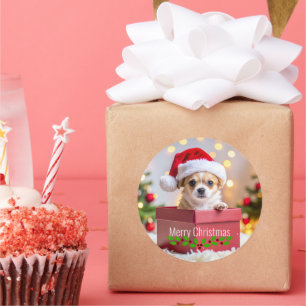 Adesivo Natal do Cachorro Filhote Chihuahua