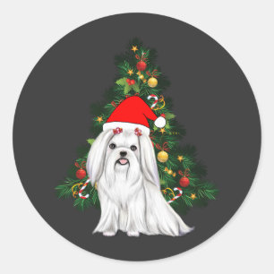 Adesivo Natal Maltês, Xmas Maltês Cachorro com chapéu de P