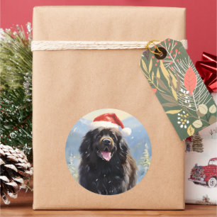 Adesivo Natal para cães da Terra Nova