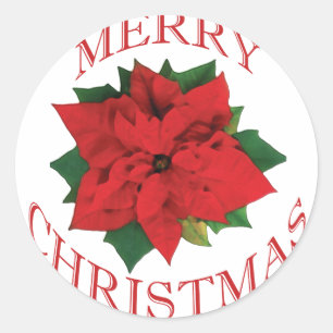 Adesivo Natal Poinsetta