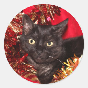 Adesivo Natal preto do gato do gatinho