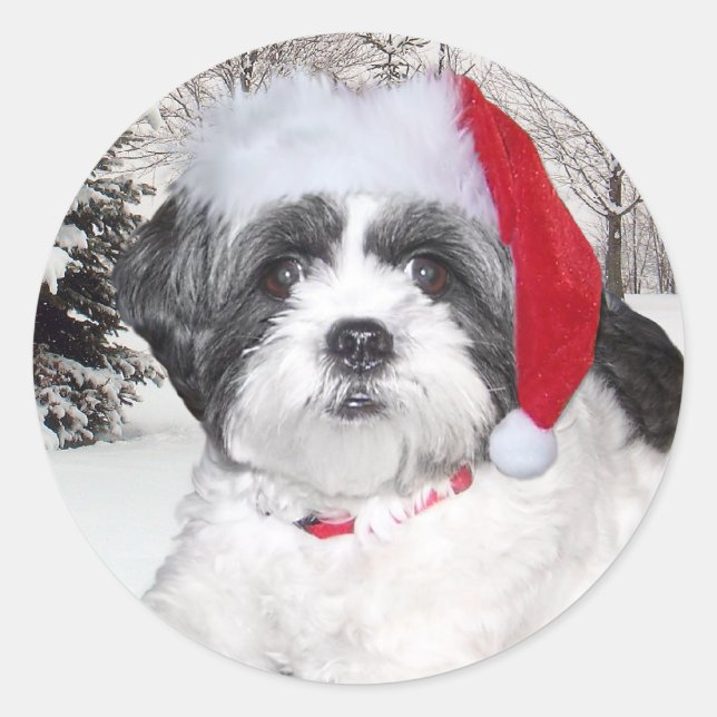 Adesivo Natal Shih Tzu (Frente)
