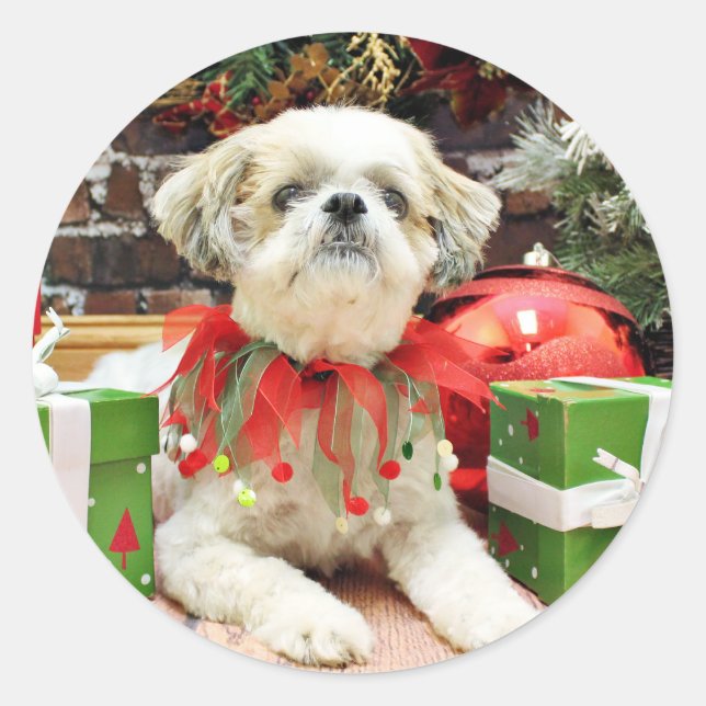 Adesivo Natal - Shih Tzu - Bailey (Frente)