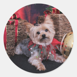 Adesivo Natal - yorkshire terrier - Vinnie