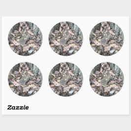 Adesivo Nature Scavenger Hunt Sticker: Toad Animal ID