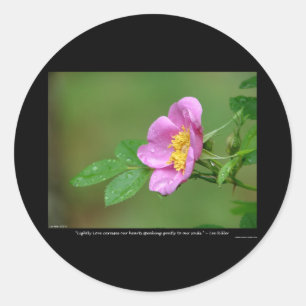 Adesivo Natureza Do Amor Rosa Selvagem Tempestade de Prima
